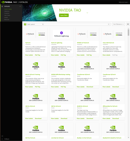 NVIDIA NGC Catalog